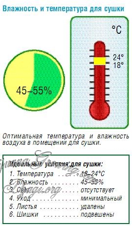 макушки марихуаны макушки марихуаны