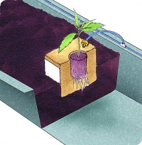 Этот  рисунок  доказывает,  насколько  может быть проста  подача  питательного  раствора благодаря системе капельного полива