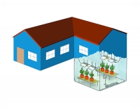 Эта схема оранжереи в подвале показывает  реальный  сценарий  выращивания. Растения на столах сохраняются в тепле, и за ними легче ухаживать