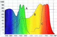 Горбатая линия в центре  графика обозначает тот спектр света, который видят люди. Двойные  горбатые  линии - это  спектр света, необходимый растениям для роста