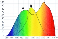Этот график показывает точные уровни, на которых  происходят:  А &mdash;  процесс фото- синтеза, В &mdash; спектр света, который видят люди, С &mdash; синтез хлорофилла