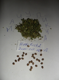 HinduKush2