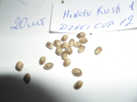 HinduKush1