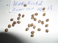 HinduKush2