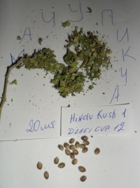 HinduKush1